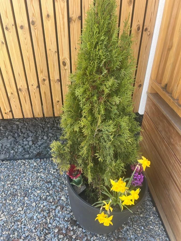 Liptovský JánDomcek Pod Vezami S Virivkou A Grilom, Pri Termalnom Kupaliskuアパートメント エクステリア 写真